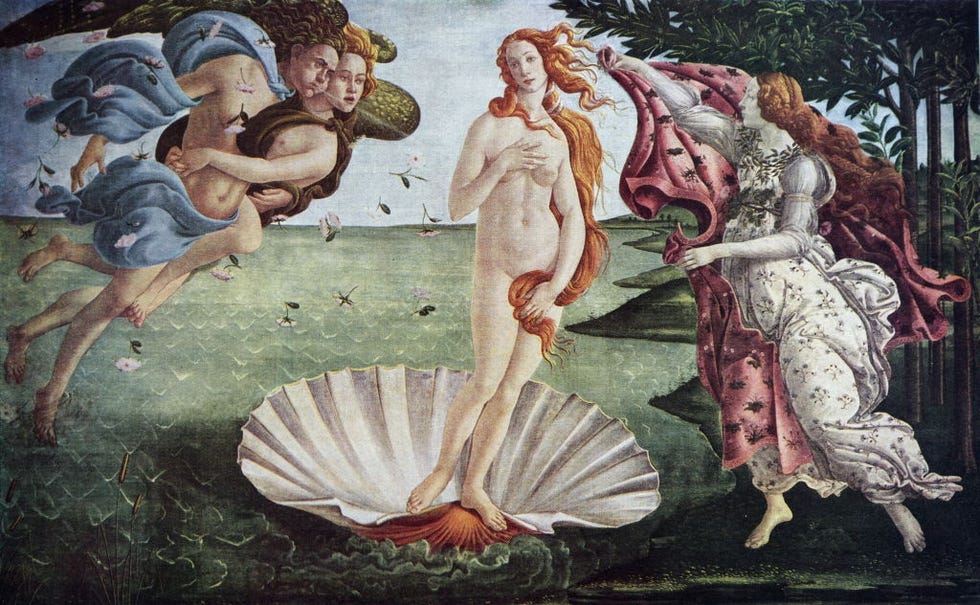 the birth of venus sandro botticelli